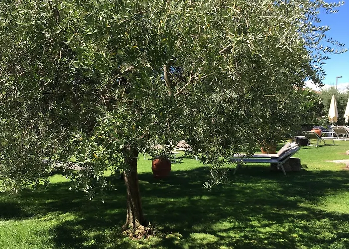 Ca' Mura ברדולינו